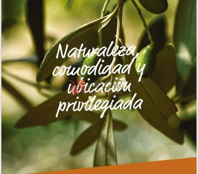 Lote en Chacras de Coria, Luján de Cuyo