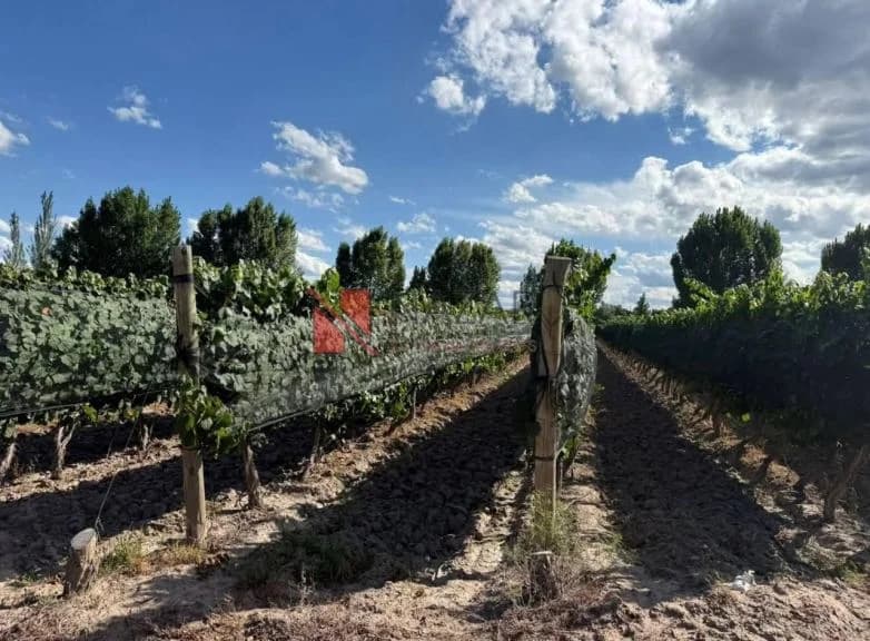 Finca en Junín Centro, Junín
